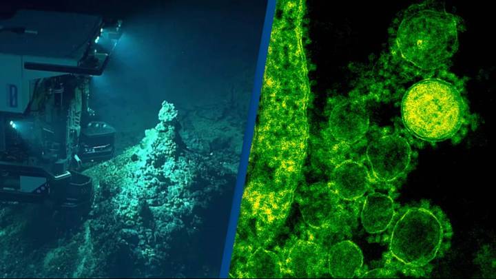 Chinese Scientists Discover Mysterious Virus from the Depths of the Mariana Trench